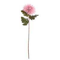 Chryzantéma 73cm, mix farieb, ks