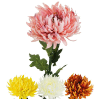 Chryzantéma ks 65 cm mix farieb
