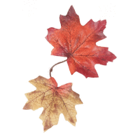 List jeseň 15cm dekorácia
