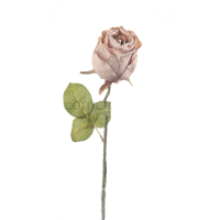 Ruža ks 51cm