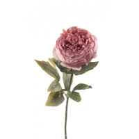 Ruža ks 57 cm mix farieb