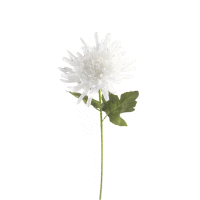 Chryzantéma ks 74cm biela