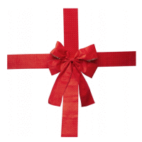 Detail - Mašľa na dvere 33x42cm RED Mašľa na dvere 33x42cm RED